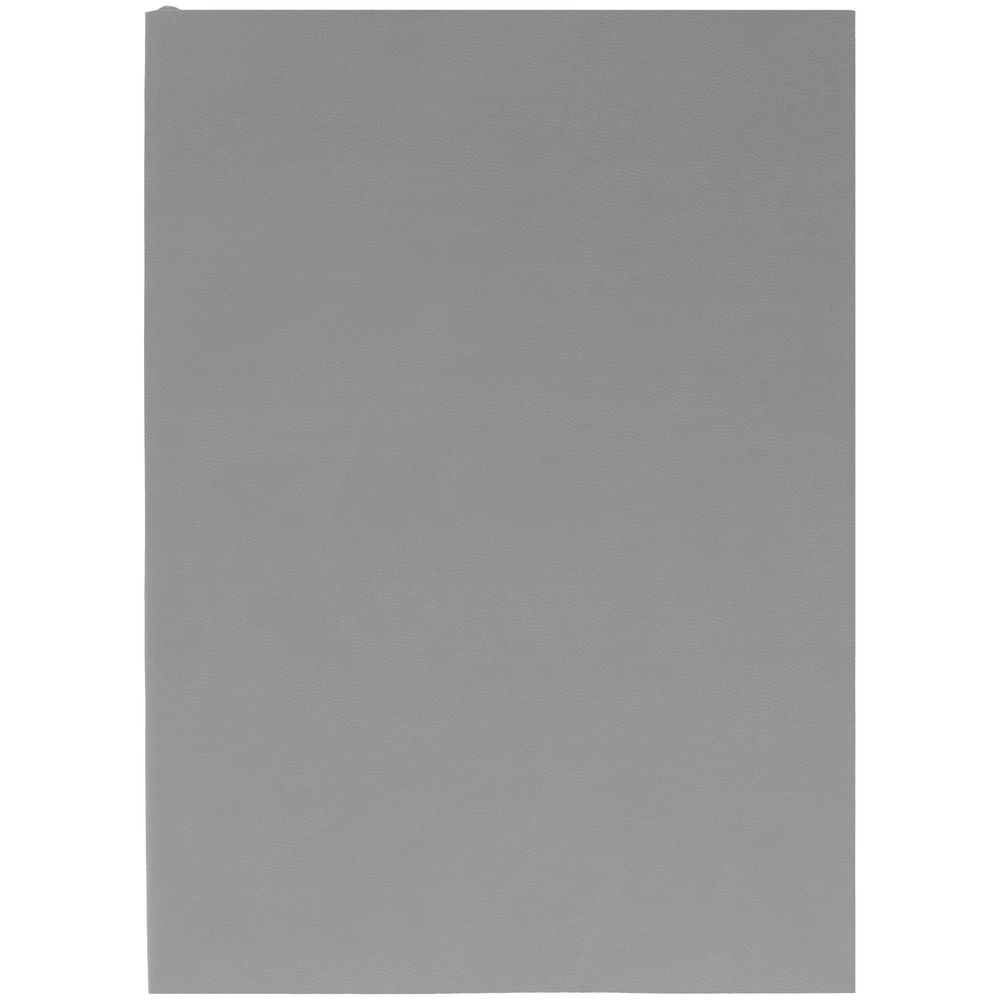 Ежедневник Flat Light, недатированный, серый Ежедневник Flat Light, недатированный, серый