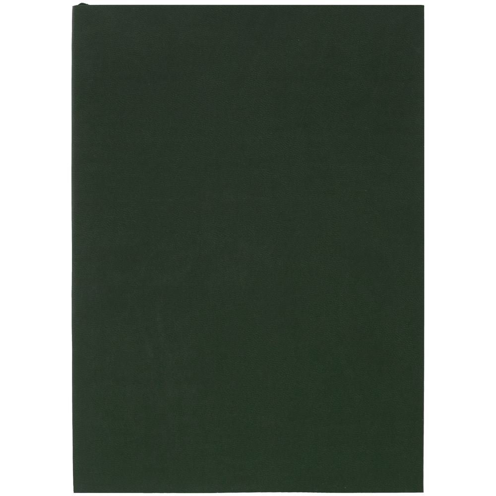 Ежедневник Flat Light, недатированный, зеленый Ежедневник Flat Light, недатированный, зеленый