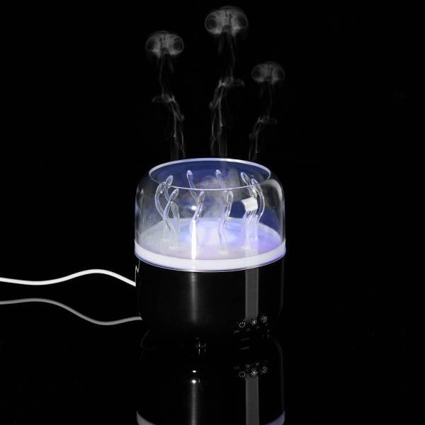 Увлажнитель-ароматизатор Immerso