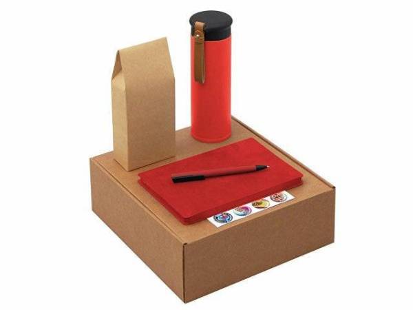 Набор «Draftea» с блокнотом, ручкой, термосом и чаем