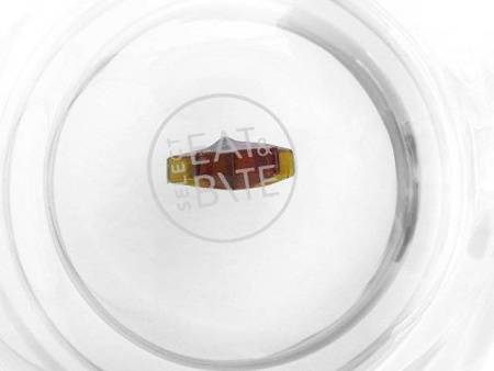 Кружка с двойными стенками с елочкой внутри "Winter Wonderland"