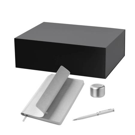 Подарочный набор Passion, Molto, серебряный (колонка, ежедневник