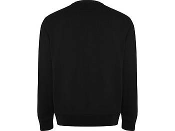 Свитшот "Batian", черный