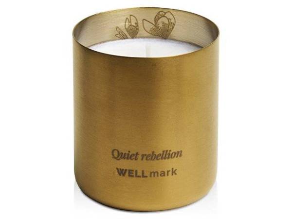 Ароматическая свеча «Echoes of Kindness»