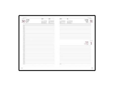 Ежедневник А5 датированный «Leader» 2025, красный