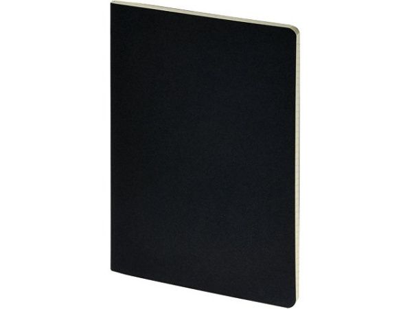 Бизнес тетрадь А5 «Pragmatic»