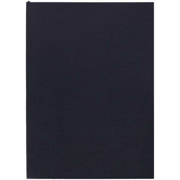 Ежедневник Flat Light, недатированный