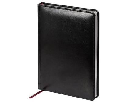 Ежедневник недатированный А4 «Sidney Nebraska»