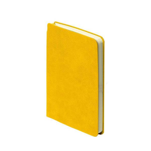 Ежедневник недатированный SALLY, A6, голубой