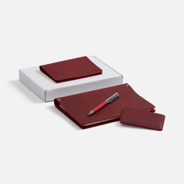 Набор inStream Maxi