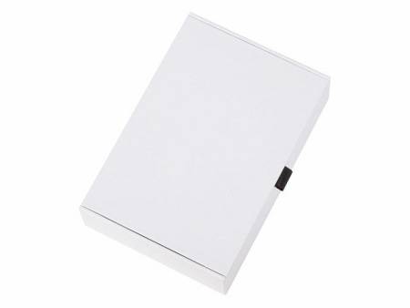 Набор «Принц Уэльский» : ручка шариковая, лупа, нож для бумаг