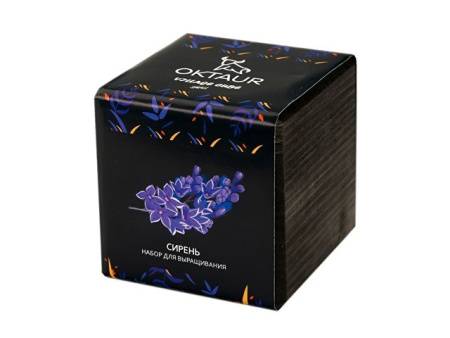 Набор для выращивания «Small village cube «Эхиноцереус»