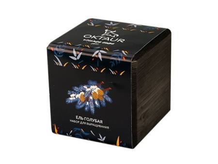 Набор для выращивания «Small village cube «Эхиноцереус»