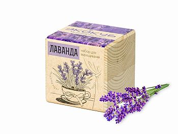 Набор для выращивания "Экокуб Classic "Лаванда" Набор для выращивания "Экокуб Classic "Лаванда"