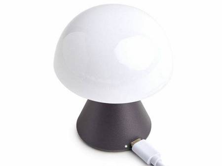 Лампа интерьерная Mina, Gun metal