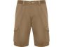 Шорты «Vitara», мужские