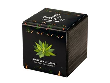 Набор для выращивания «Small village cube «Эхиноцереус»